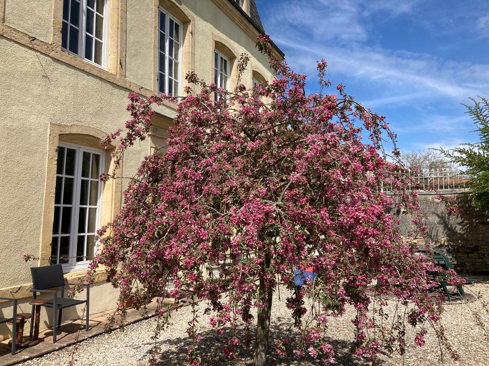 Maison Les Beaux Arts Mouzay  Exteriér fotografie